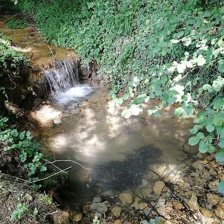 Domaine Moulin De Quincenat Lägenhet Champagnat  Exteriör bild