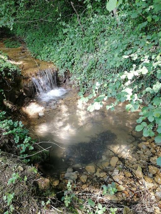 Domaine Moulin De Quincenat Lägenhet Champagnat  Exteriör bild