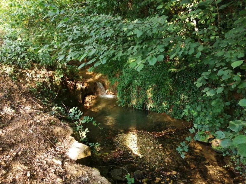 Domaine Moulin De Quincenat Lägenhet Champagnat  Exteriör bild